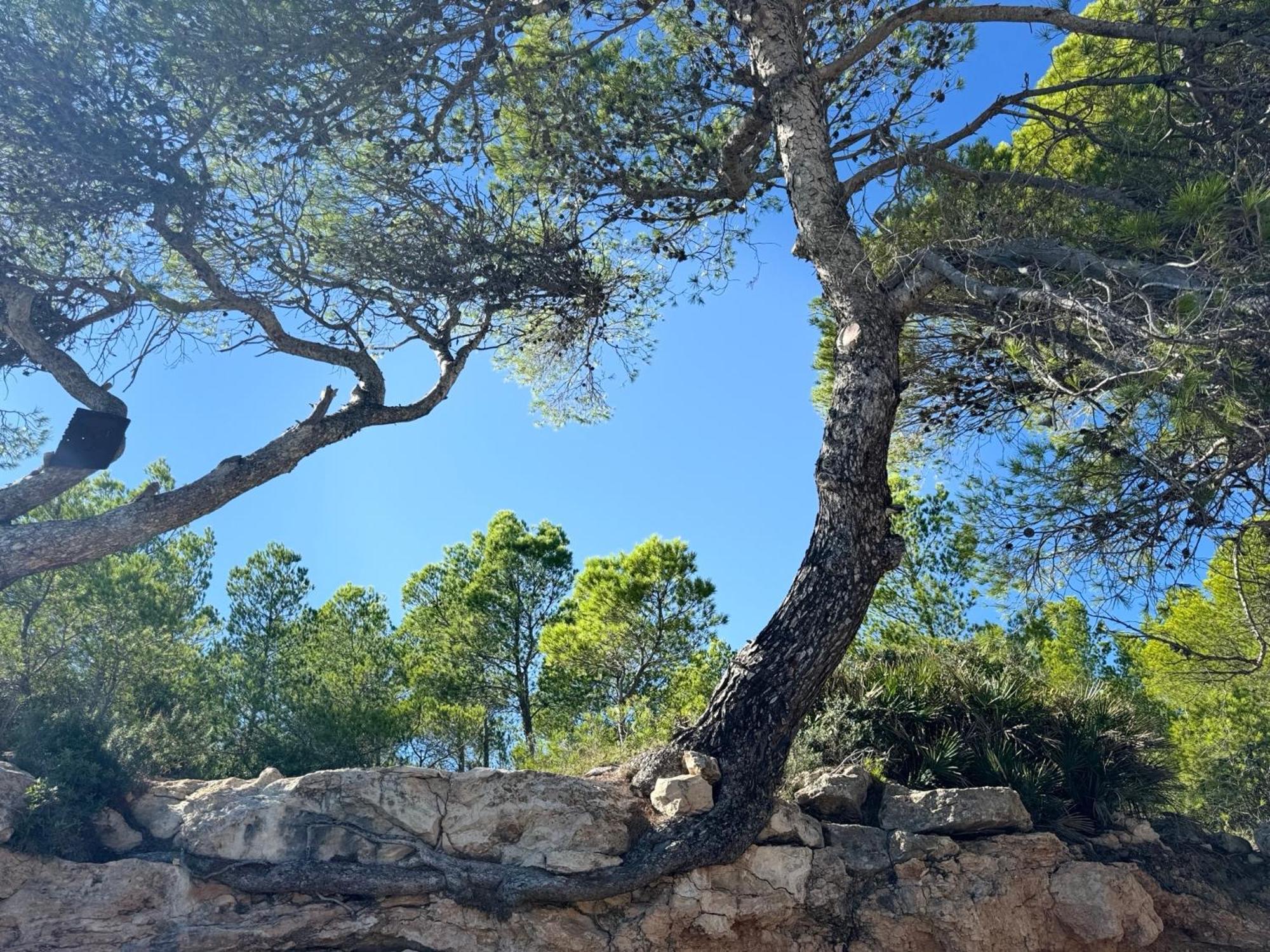 Villa Cassa Jessi Tarragona Esterno foto